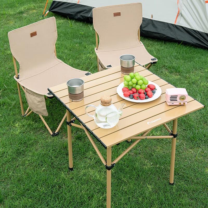 Diplomat Folding Table and Chair Set