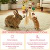 2Pcs Rabbit Chew Toy Hanging Small Pet Chew Toy Pet Cage Accessory Pet Supplies for Guinea Pig Chinchilla Hamster Teeth Grinding