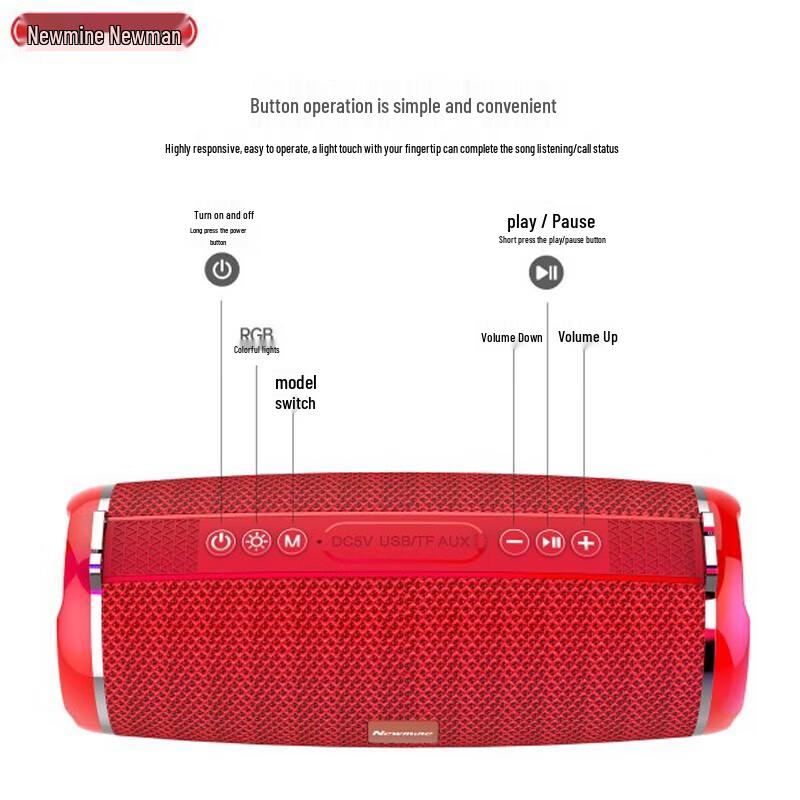 Newmine BT33 Portable Bluetooth Speaker