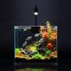 Regulable Brightness Light Lighting Aquariums LED Light Fishes Tanks Clip Light for Saltwater Fish Tanks
