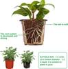 Plastic Plant POTS, Seedling Flower Plant Containers and Seed Starter POTS with Plant Labels
