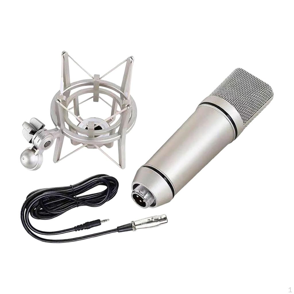 Condenser Mic for Vocals and Podcasting