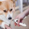 Professioneller Haustier-Nagelknipser Schere Multifunktionaler Haustier-Nageltrimmer Für Kleine Mittlere Große Haustiere