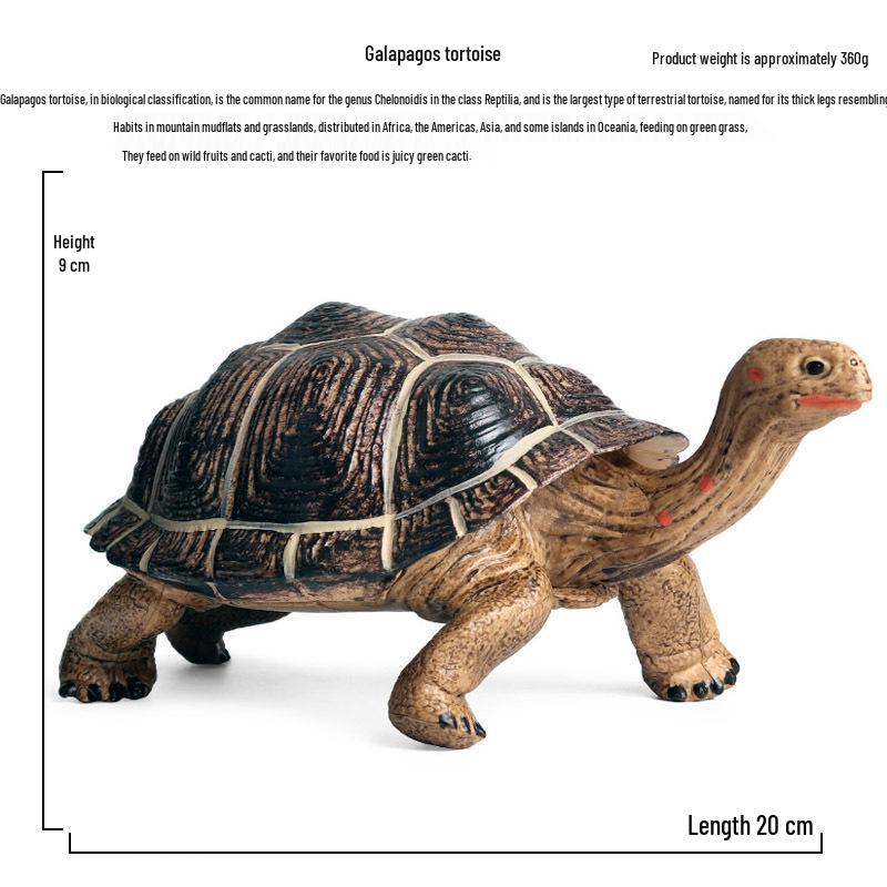 Marine Animal Simulation Toys: Hammerhead Shark, Humpback Whale, Gray Whale, Tortoise - Plastic Figures for Children