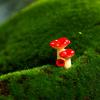 Miniature Resin Mushroom Figurine Decorative Mini Sculpture for Home Garden Yard Lawn Decoration Accessories