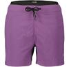 Шорты Dolomite W Pelmo Shorts (296172) Rustic Фиолетовый