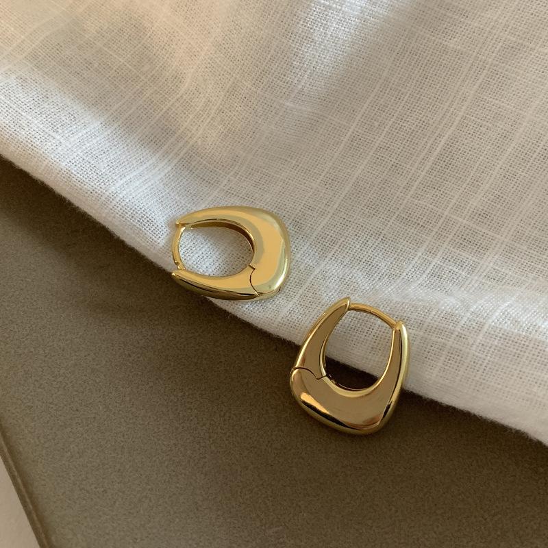 Elliptical Geometric Ear Clasps Female Temperament Simple Fashion Personality Hundreds of Senior Sense of Niche Earrings Studs Versatile Daily Wear