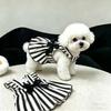 Roupa e sapatos – Vestidos para cães