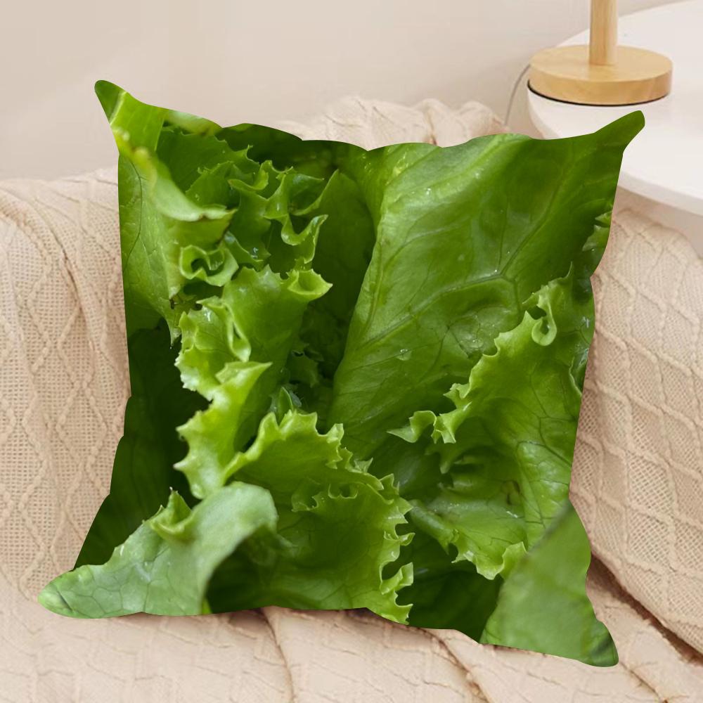 Fresh Food Anime Health Cushion Cover Silky Short Plush DoubleSided Printed Pillow Case for Sofa All Seasons Home Decor Gift