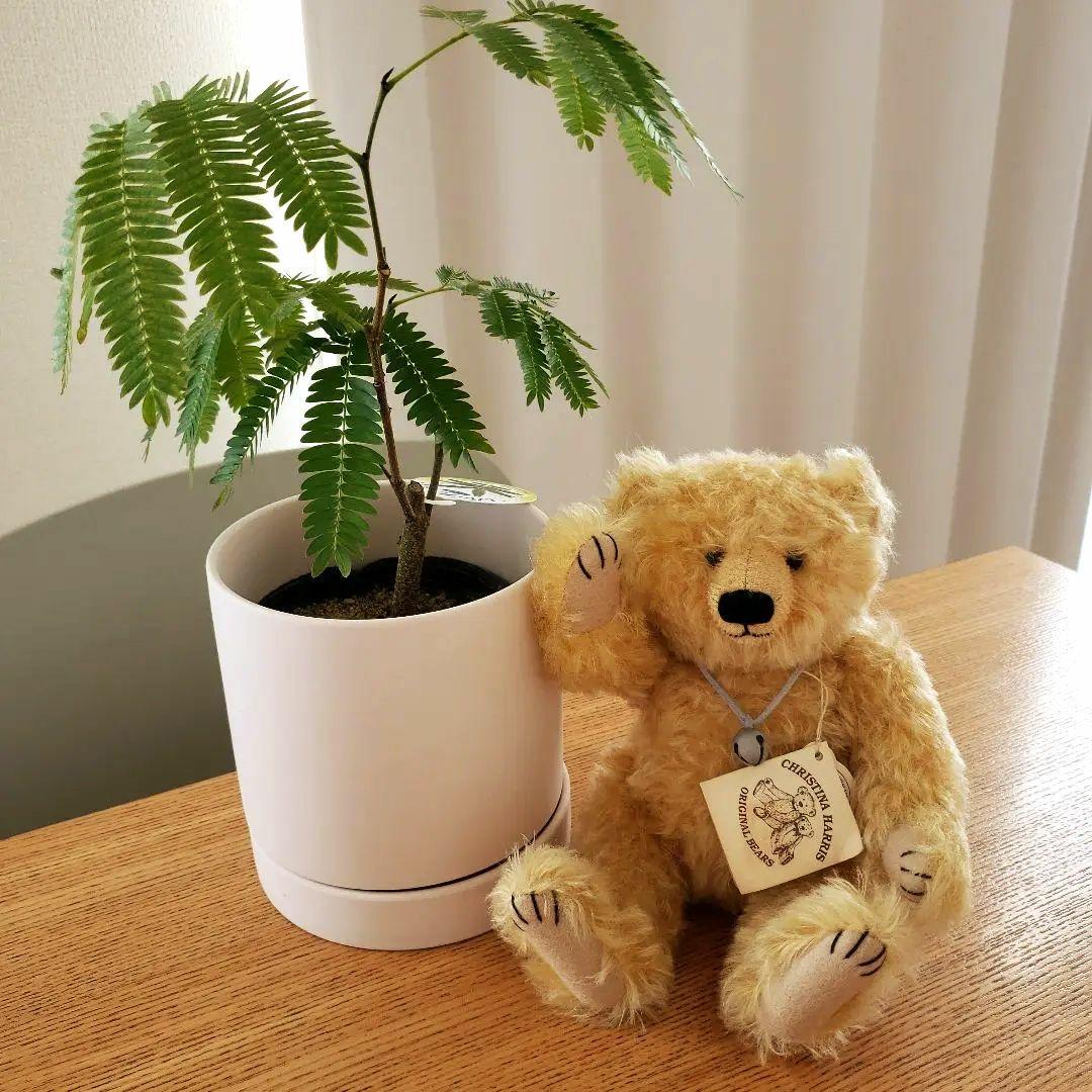 

[USED] Antique teddy bear, handmade by London artist