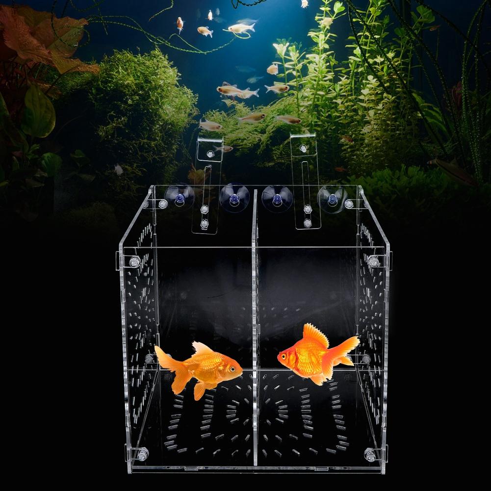 Isolamento Allevamento Piantine Incubazione Riproduzione per Acquario Acquario(20x20x20cm)