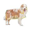 Dog Raincoat Transparent Pet Raincoat Comprehensive Pet Raining Coat Bite Pet Rain Poncho for Golden Retriever Samoyed Schnauzer