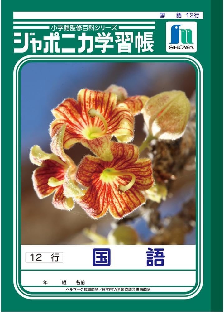 

Showa Notebook Japonica Japanese Language B5 12-Line 5-Pack JL-11-15