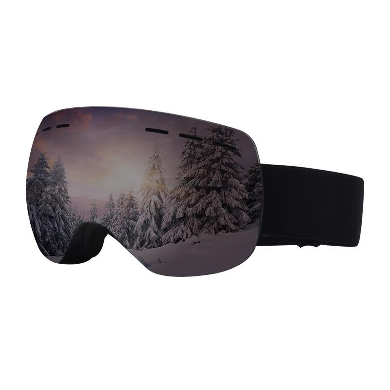 Snow Power Double-Layer Anti-Fog Ski Goggles