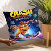 Game C-Crash B-Bandicoot Pillow Case Square Double‑Sided Print Cushion Case For Sofa Home Bedchamber Decor Gift