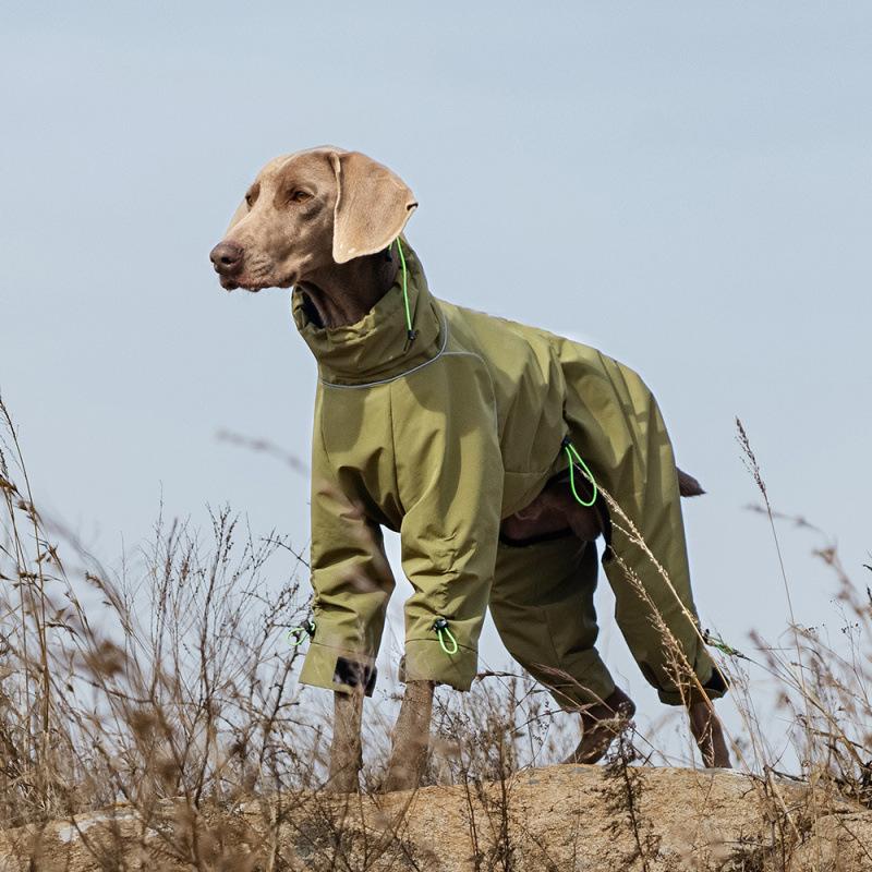 Big dog all-inclusive jacket autumn and winter velvet windproof and waterproof pet clothes four-legged adjustable dog clothes