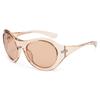 New Fashion Trendy Sunglasses Anti UV Big Frame Oval Glasses Personalized Retro Street Po Glasses Female