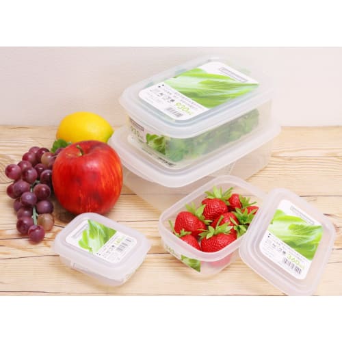 Iwasaki Kogyo Made In Japan Antibacterial Food Case XL B1716FR