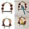 Bird Parrot Perch Naturally Bird Swing Multiple Functional Wood Perch for Bird