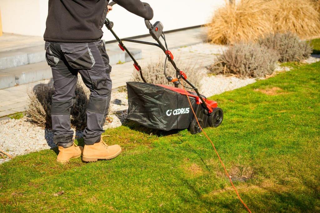 Cedrus We40 Lawn Scarifier Areator 2in1 Aerator + 2 Rollers 2000W / 40Cm Cedwe40 - Ewimax - 