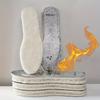 Unisex Adult  Warm Sheep Cake Velvet Insole, Moisture-Proof And Cold-Proof, Breathable Double-Sided Winter Foot Protection, Warm Insoles
