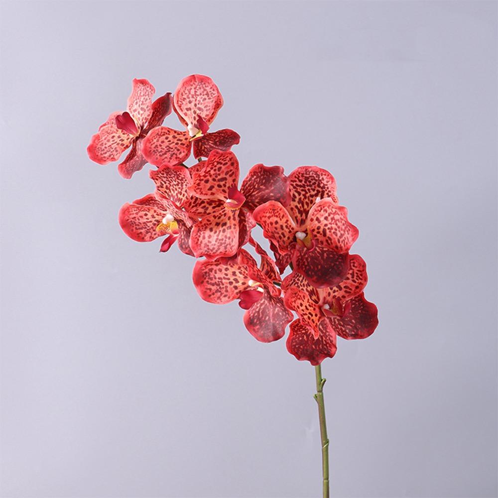 Plastic Phalaenopsis Branch Moisturizing Real Touch Orchids Simulation Flower  Office Decor