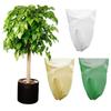 Antifreeze Plant Covers with Suck Rope Design Reusable PVC Non-woven Freeze for Protection Fits for Shrubs/ Potted Flowe