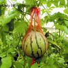 20pcs Hanging Watermelon Grow Net Bags Reusable Cantaloupes Mesh Net Garden Cucumbers Growing Storage Mesh Net Vegetable Bags
