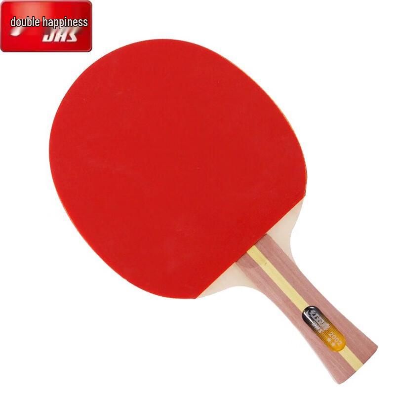 DHS 2-Star 7-Ply Wood Table Tennis Racket Set