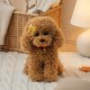 30cm 35cm 40cm Realistic Teddy Dog Lucky Simulation Dog Poodle Plush Toys Handmade Realistic Figure Toy Plush Stuffed Animals