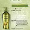 Schwarzkopf Ginger Essence Oil Control Shampoo