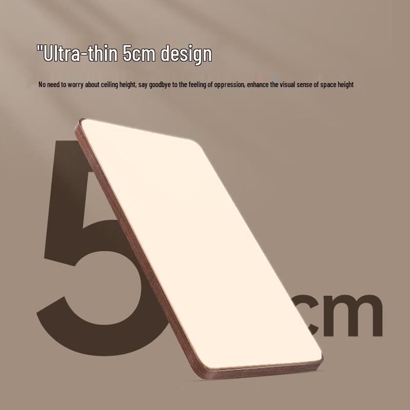 Minimalist Walnut Wood Grain LED Ceiling Lamp