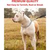 Dog Chainfor Small Medium Dogs Collars Strong Dog Choke Chain No Pull Dog Metal Slip Collar Anti Chew Training Collar Stainless