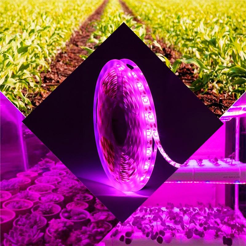

5M Светодиодная лампа для выращивания растений Полный спектр 5V USB Светодиодная лента для выращивания растений 2835 Светодиодные фитолампы для растений Теплица Гидропонная лампа для выращивания 5M