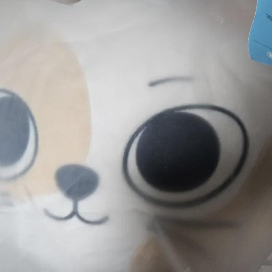 

BOYNEXTDOOR Также продает подушки-пипы для кошек