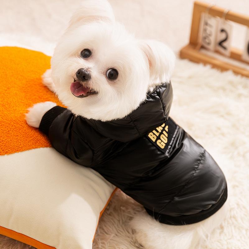 Graphene Black Gold Series Dog Down Jacket for Autumn/Winter - Warm Pet Clothes for Small Breeds Like Teddy, Bichon, and Pomeranian