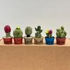 Cartoon Potted Cactus Fridge Magnet Resin 3D Mini Potted Plants Refrigerator Magnet Kitchen Home Office Decoration