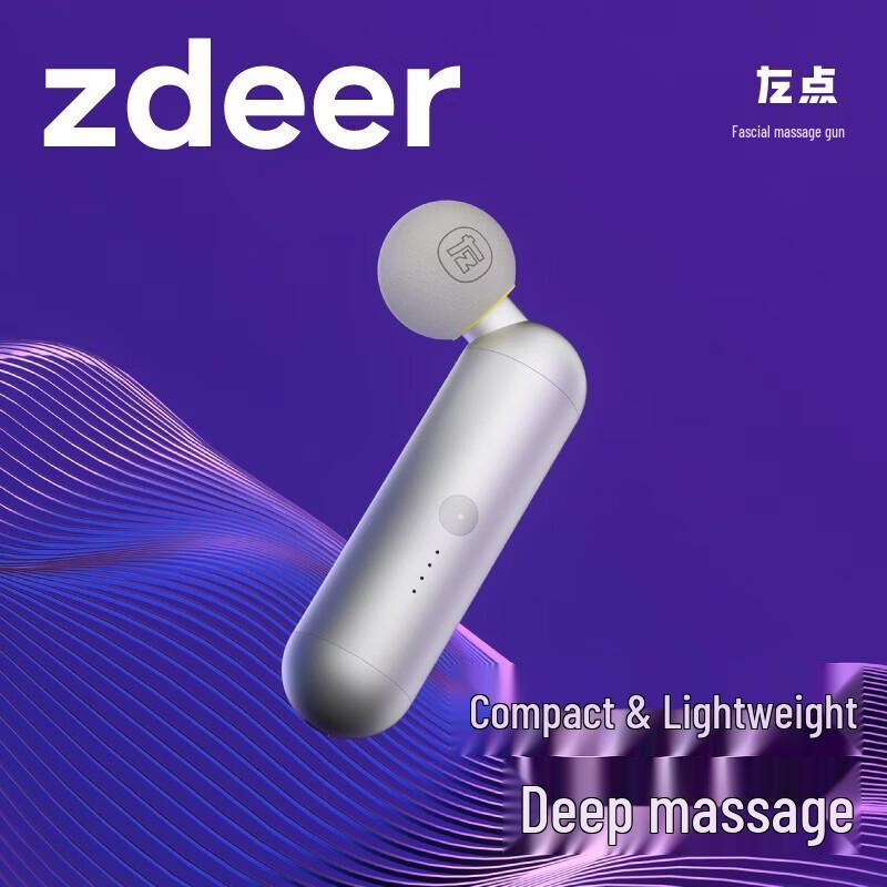 

Zuodian Fascia Massage Gun CN plug (adapter included)