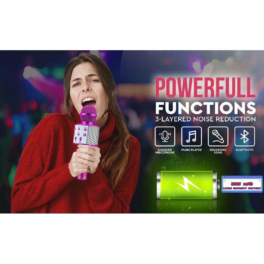 Karaoke Microphone for Kids & Adults  , Echo Effect, Built-in Speaker Portable Karaoke Player for Party Travel Gifts
