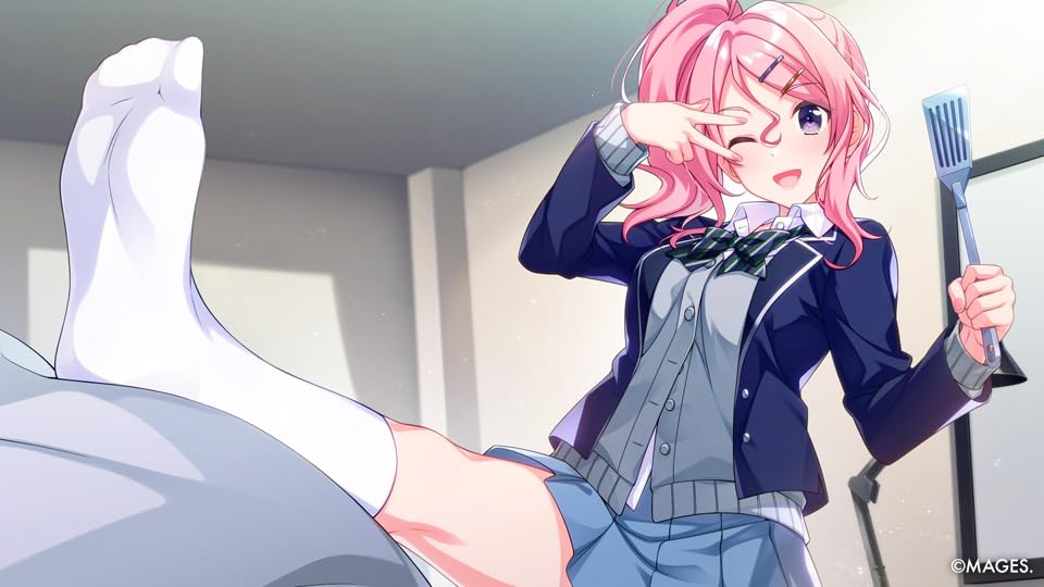 Since Memories OFF The Starry Sky North PS4 (Import version America) -