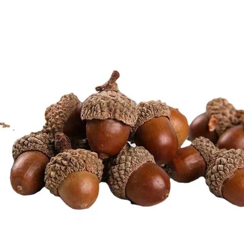 Christmas Pine Cones & Dried Flowers Pack - Eucalyptus, Pine Wood, Cotton, Handmade Photography Props