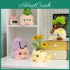 Plush Potted Plant Collection With Pp Cotton Fill For Kids And Gift Giving