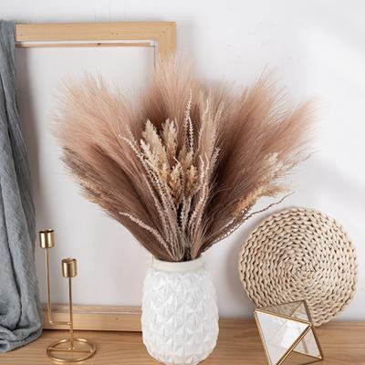 1PC Vase Filler Pampas Pampas Grass Decor Dreid Flowers Fluffy Pompas Grass Wedding Boho Deocr Flowers Home Table Decor, Rustic Farmhouse