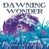 Dawning Wonder by Johan Stiel Paperback Book 9781800167292
