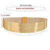 Simple Gold Women Waist Belt Silver Bright Waist Corset Belts Punk Thin Elastic Cummerbunds Stage Performance