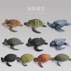 Simulation Animal Model Toy Turtle Doll Ornament Collection Static Animal Boutique Gift Gift