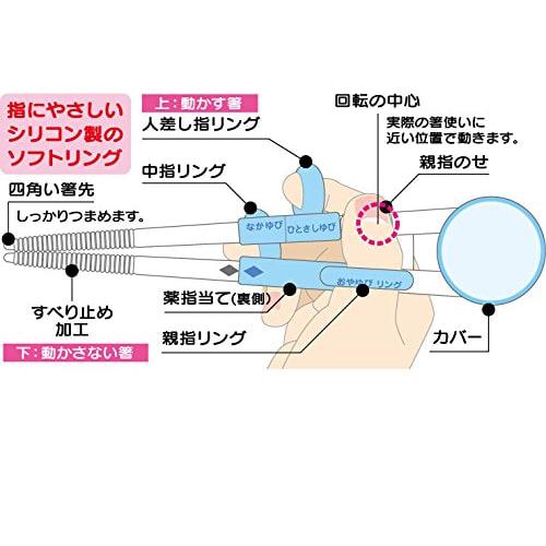 SKATER Deluxe Training Chopsticks, 14cm, with Case, Very Hungry Caterpillar Design, for Children, ADXT1S