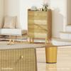 Narrow Shoe Cabinet, Modern Shoe Storage Cabinet with 2 Flip Drawers, Oak