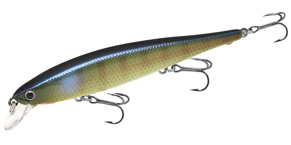 

Lucky Craft USA Flash Pointer 100 BE (269 Gil)