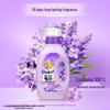 Comfort Lavender Fabric Softener 2.3KG Twin Pack
